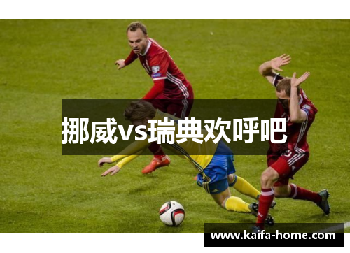挪威vs瑞典欢呼吧